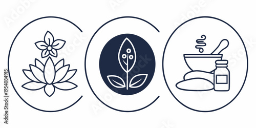 Herbal and natural remedy lotus plant