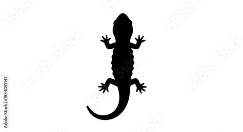 Black Silhouette of a Lizard.