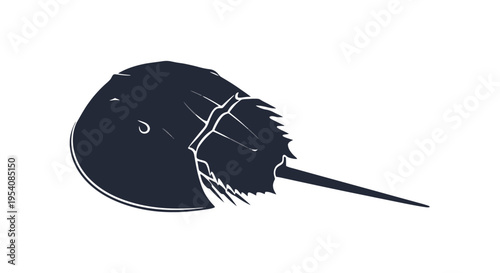 Black Silhouette of Horseshoe Crab.