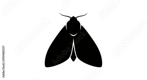 Black Silhouette of a Moth Insect.