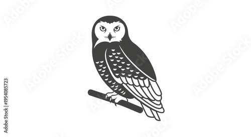 Black and White Illustration of an Owl.
