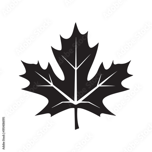 canadian maple leaf silhouette white background vector illustration