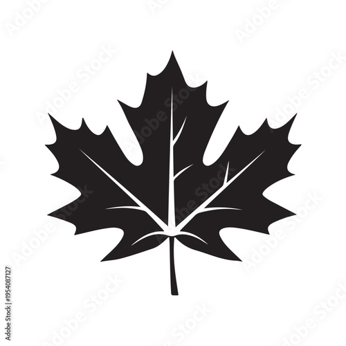 canadian maple leaf silhouette white background vector illustration