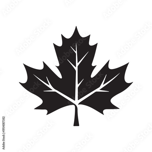 canadian maple leaf silhouette white background vector illustration