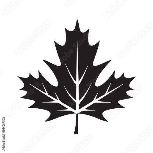 canadian maple leaf silhouette white background vector illustration