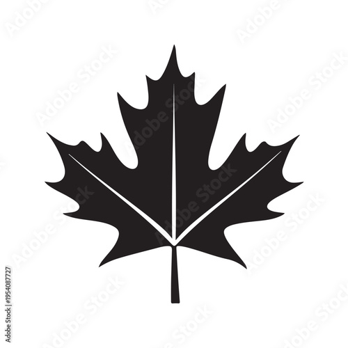 canadian maple leaf silhouette white background vector illustration
