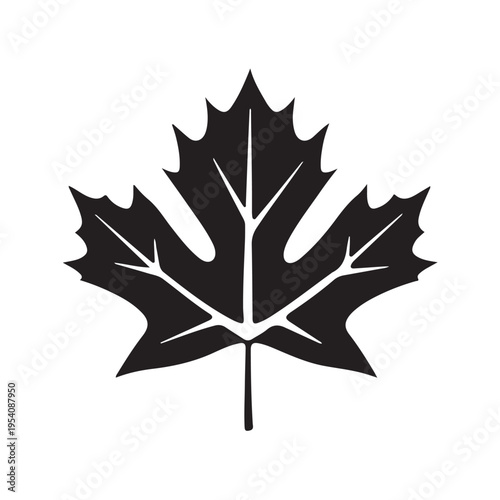 canadian maple leaf silhouette white background vector illustration