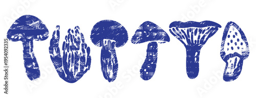 Blue ink mushroom collection: vector hand-drawn set of forest fungi like boletus, chanterelle, amanita, enoki. Indigo linocut illustration with hatching, crosshatch texture isolated on white