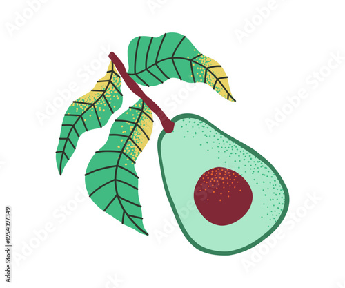 Fresh half avocado on a branch with leaves. Hand drawn fruit, healthy food.