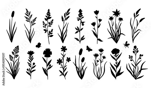 Wild grass flowers herbs and insects black silhouette set hand drawn botanical vector illustration