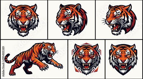 Collection of six detailed tiger illustrations in various poses, including headshots and a full body depiction.