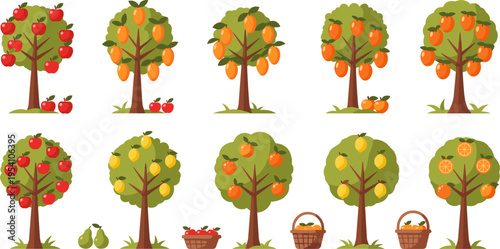Fruit Tree Collection with Apple, Orange, Lemon, and Pear Trees, Harvest Baskets, and Cartoon Garden Elements for Agriculture, Farming, and Seasonal Vector Illustrations