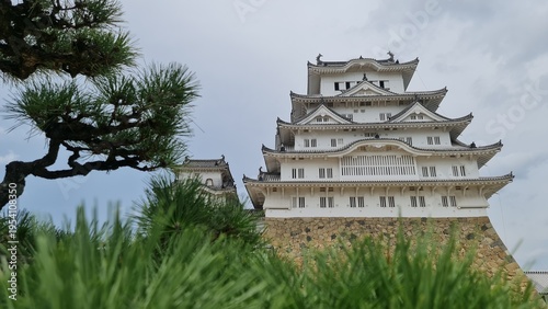 Himeji Castle in Japan with Pine Trees Foreground Traditional Japanese Architecture Landmark