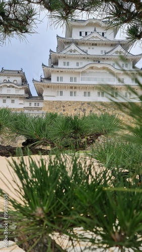 Himeji Castle in Japan with Pine Trees Foreground Traditional Japanese Architecture Landmark