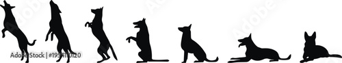 Black silhouette set of German Shepherd dog training jumping sitting and lying down isolated on white background for pet care design