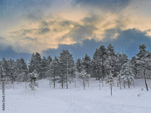 Mestervik, Norway - December 28, 2025: Outside Malangen Brygger Resort. Noon golden light shines through cloudscape over snow-covered forest