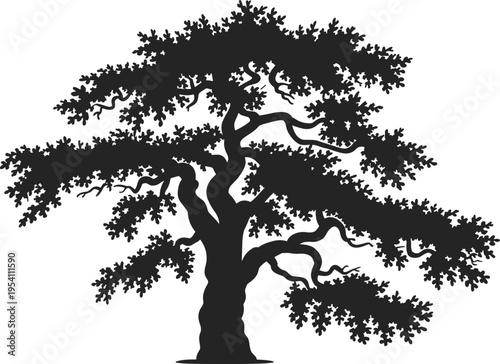 Black silhouette of old oak tree with spreading branches, detailed leaf foliage, isolated on white background, nature landscape element design.