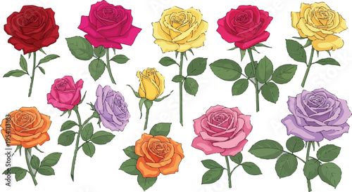 A collection of colorful rose illustrations featuring various shades and stages of blooming flowers