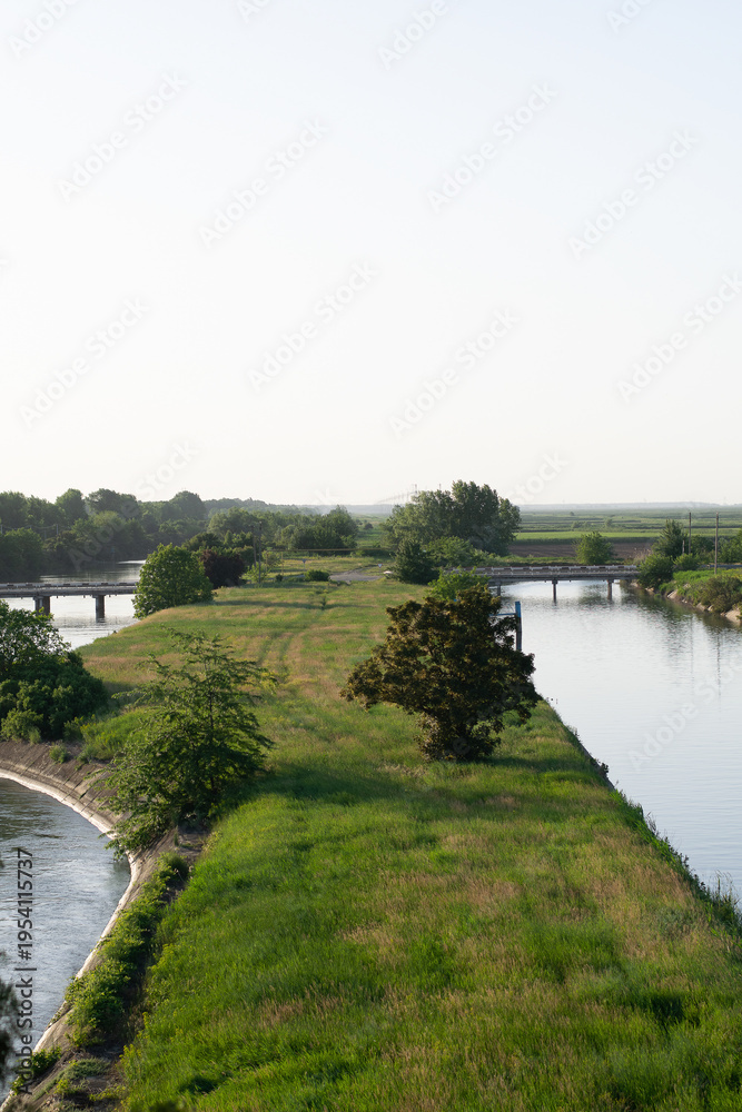 Fototapeta premium river in the park