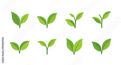 leaf, green, eco, nature, organic, plant, botanical, herbal, environment, sustainable, recycle, bio, earth, growth, fresh, clean, purity, healthy, garden, agriculture, flora, foliage, branch, sprout, 