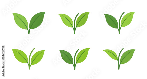 leaf, green, eco, nature, organic, plant, botanical, herbal, environment, sustainable, recycle, bio, earth, growth, fresh, clean, purity, healthy, garden, agriculture, flora, foliage, branch, sprout, 