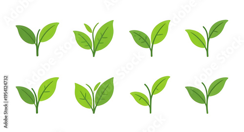 green leaves, leaf logo, eco logo, eco friendly logo, nature logo, organic logo, plant logo, botanical logo, herbal logo, environment logo, sustainable design, recycle logo, green energy, eco concept,