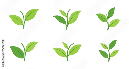 green leaves, leaf logo, eco logo, eco friendly logo, nature logo, organic logo, plant logo, botanical logo, herbal logo, environment logo, sustainable design, recycle logo, green energy, eco concept,