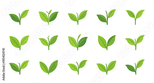 green leaves, leaf logo, eco logo, eco friendly logo, nature logo, organic logo, plant logo, botanical logo, herbal logo, environment logo, sustainable design, recycle logo, green energy, eco concept,