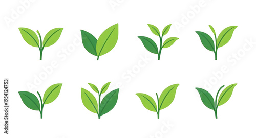 leaf, leaves, green, eco, ecology, nature, natural, organic, plant, botanical, herbal, environment, ecofriendly, sustainability, sustainable, recycle, recycling, bio, biology, earth, growth, fresh, fr