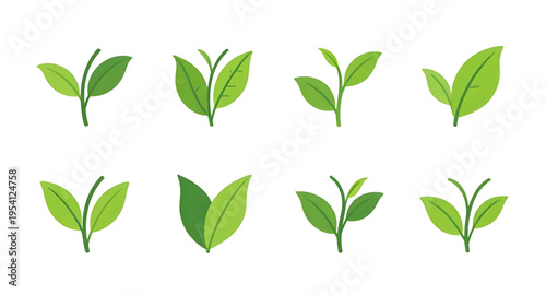 leaf, leaves, green, eco, ecology, nature, natural, organic, plant, botanical, herbal, environment, ecofriendly, sustainability, sustainable, recycle, recycling, bio, biology, earth, growth, fresh, fr