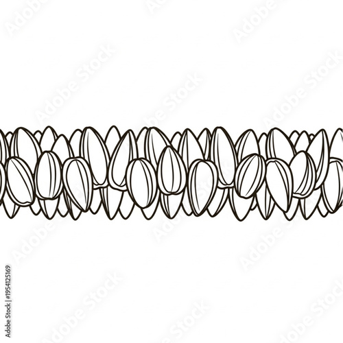 Pistachio Nuts Illustration Detailed Line Art.