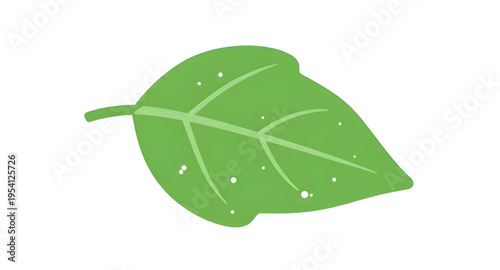 leaf, leaves, green, plant, foliage, nature, botanical, botany, garden, natural, fresh, eco, ecology, organic, environment, growth, spring, summer, herb, flora, floral, branch, stem, vein, texture, pa