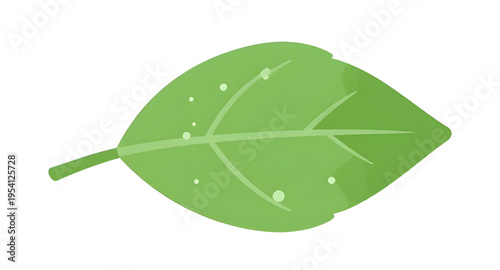 leaf, leaves, green, plant, foliage, nature, botanical, botany, garden, natural, fresh, eco, ecology, organic, environment, growth, spring, summer, herb, flora, floral, branch, stem, vein, texture, pa