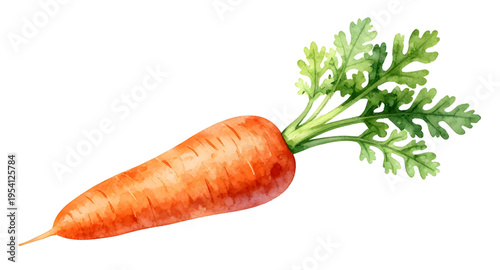 carrots, vegetable, carrot, food, fresh, healthy, organic, natural, farm, farming, agriculture, harvest, root, rootvegetable, orange, nutrition, vegan, vegetarian, diet, cooking, ingredient, salad, ki