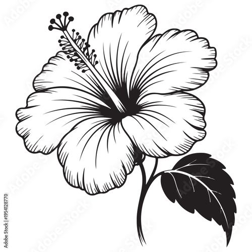 Detailed black and white illustration of a hibiscus flower with delicate shading a striking silhouette