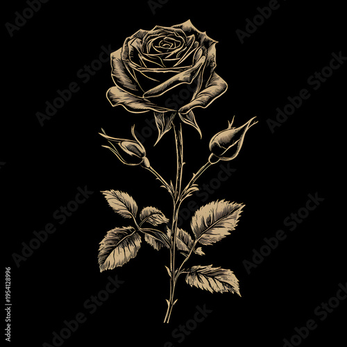 A black rose with swirling stems and leaves in a simple illustration style Black rose icon vector, Generative AI

 