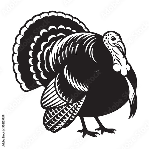 A detailed engraving of a proud wild turkey displaying its plumage a striking silhouette