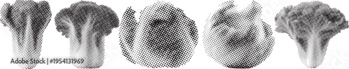 A collection of five broccoli florets rendered in a classic halftone dot pattern style isolated on transparent background