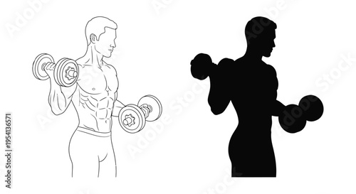 Vector graphic illustration depicting a muscular man performing bicep curls with dumbbells showing outline and silhouette