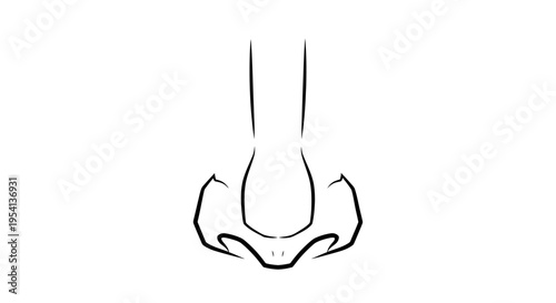 Human Nose Outline Simple Facial Feature Icon on Isolated White Background