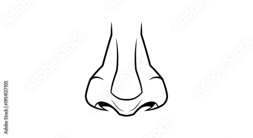 Human Nose Facial Feature Outline, isolated white background