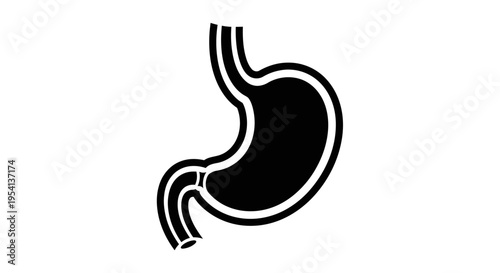 Anatomical Human Stomach Outline Icon for Digestive System, Isolated White Background