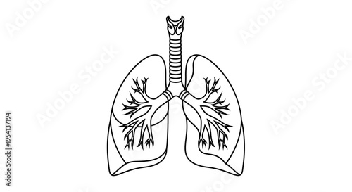 Detailed Outline of Human Lungs and Respiratory System Anatomy Icon, Isolated White Background
