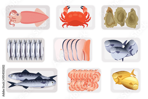 Frozen or chilled seafood in plastic containers set. Top view of trays of rectangle shapes with polyethylene transparent wrap, squid and crab, shrimp and fish slices cartoon vector illustration