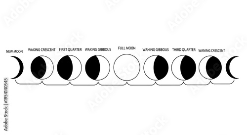 Moon Phases Cycle Diagram with Labels