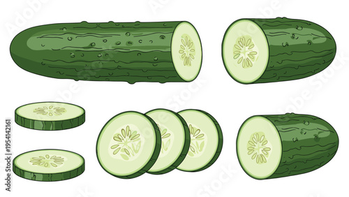 Illustrations of fresh green cucumbers in different forms including a whole vegetable, halves, and multiple thin round slices.