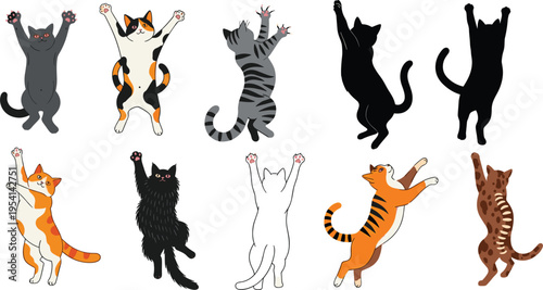 Collection of cute cats and kittens climbing and hanging in various poses