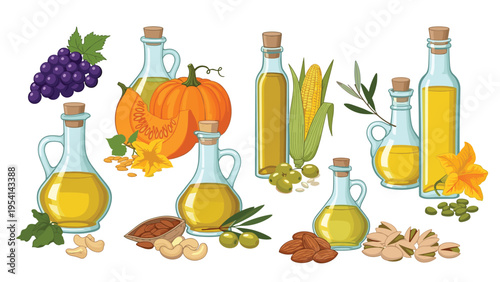 Variety of healthy vegetable and seed oils in glass bottles with their natural ingredients like olives pumpkin grapes and various nuts.