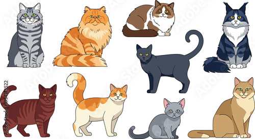 Collection of different cat breeds and fluffy kittens in various poses