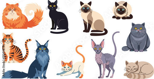 Collection of various cat breeds in sitting and resting poses